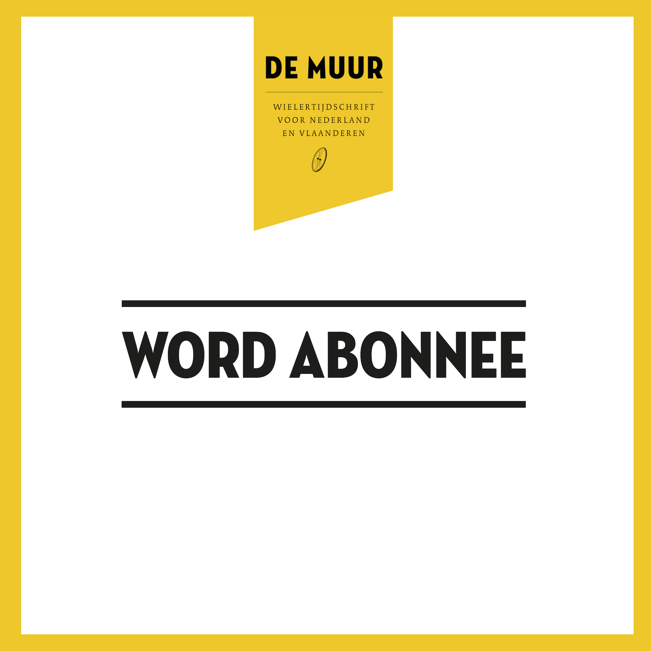 Abonnement toegang voor website